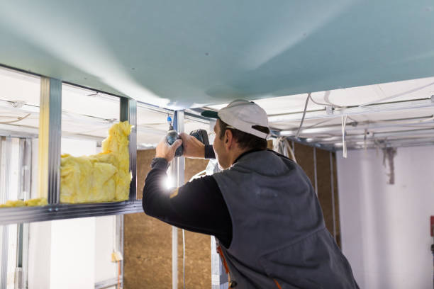 Best Fiberglass Insulation in Belvedere Park, GA