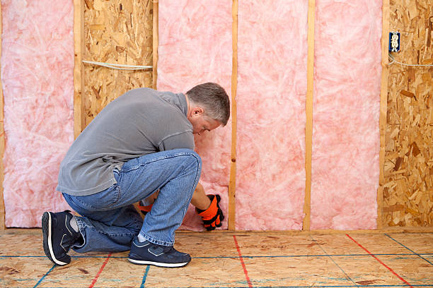 Best Blown-in Insulation in Belvedere Park, GA
